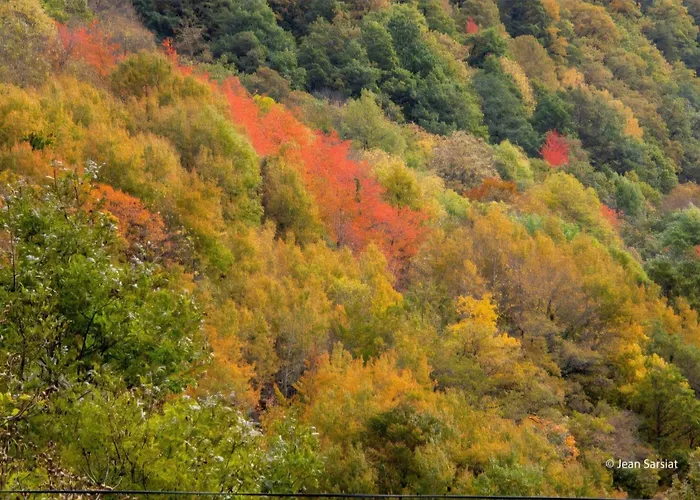 La Maison Au Bout Du Chemin Casa vacanze *